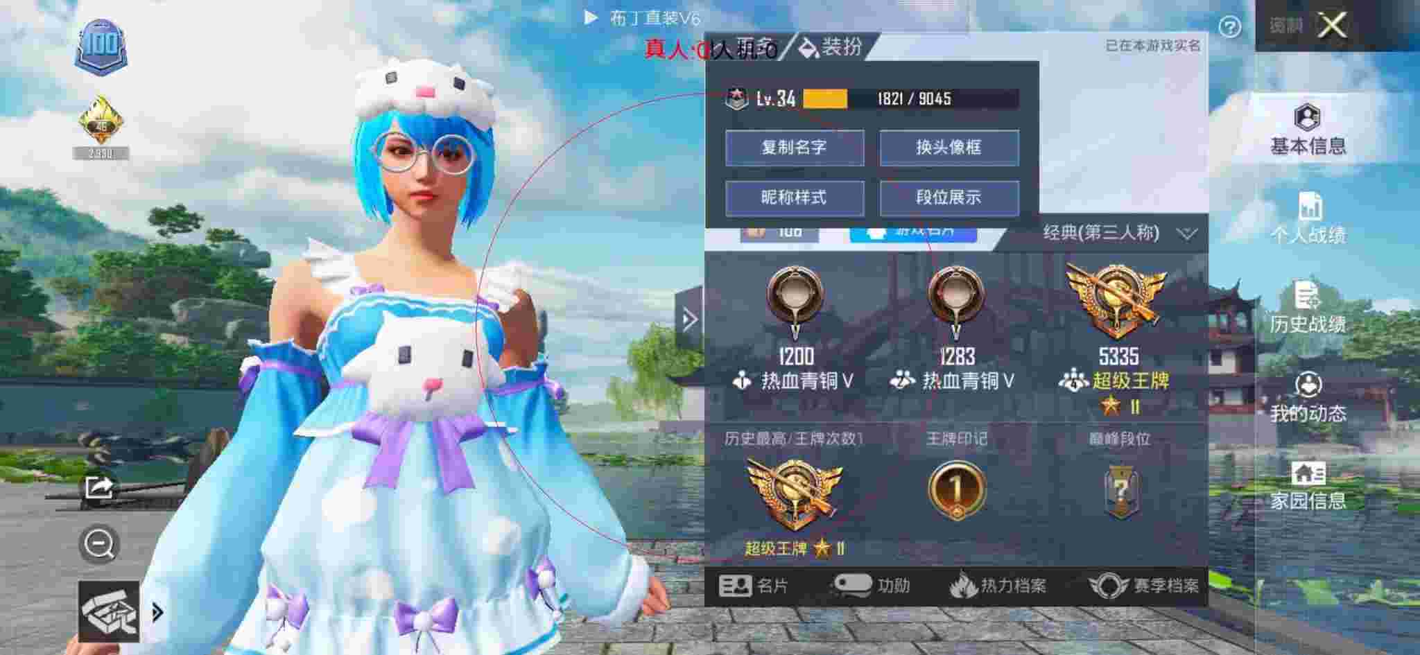 和平精英布丁直装透视 - 和平精英-和平辅助卡通手绘图辅助预览图